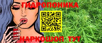 гашик Обнинск