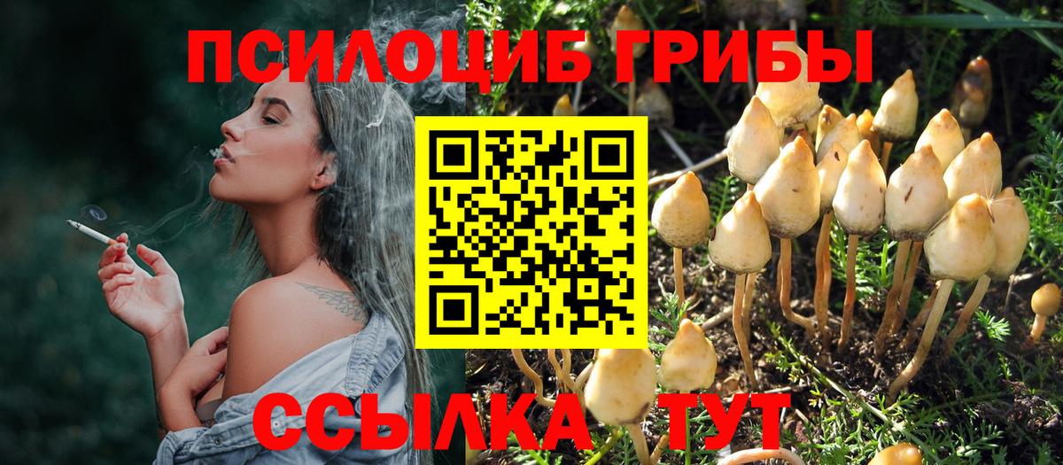 Псилоцибиновые грибы ЛСД Чебаркуль